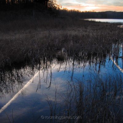 Michigan Pond