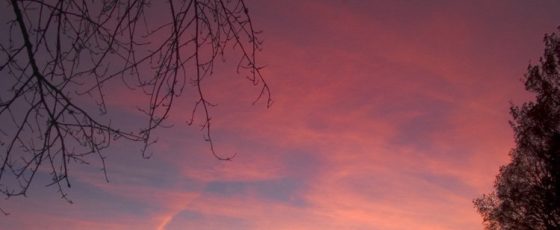 Sunset over the alps