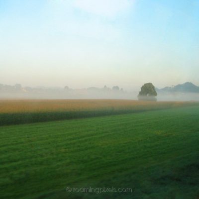 Early morning mist