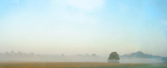 Early morning mist