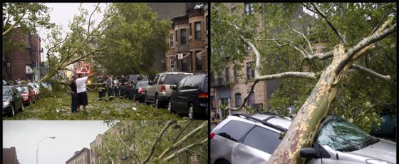 Brooklyn tornado