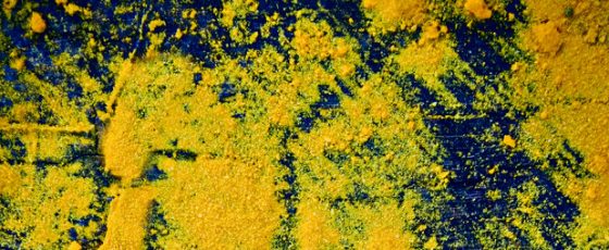 Yellow Substance